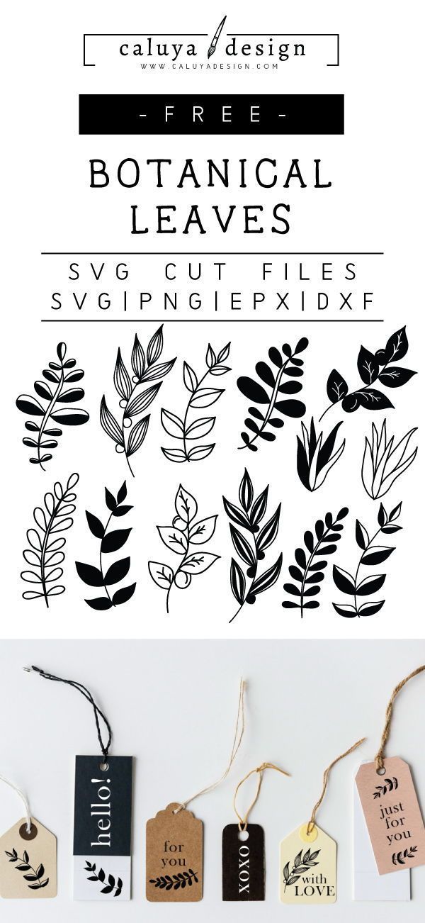 the botanical leaves svg cut files are available for use on crafts and other projects