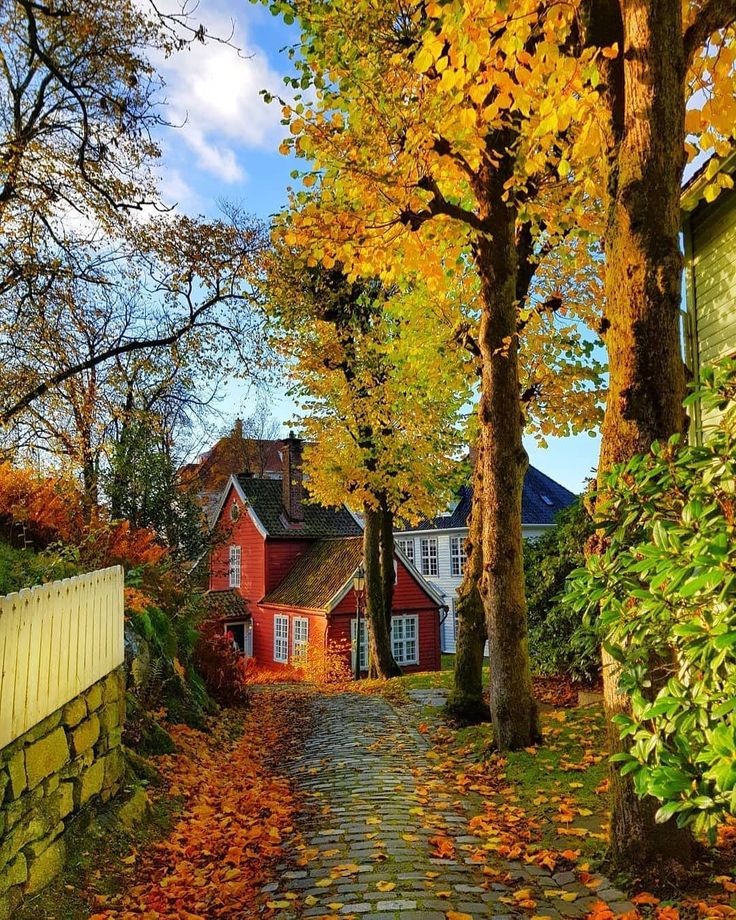 a cobblestone road with autumn leaves on the ground and houses in the background