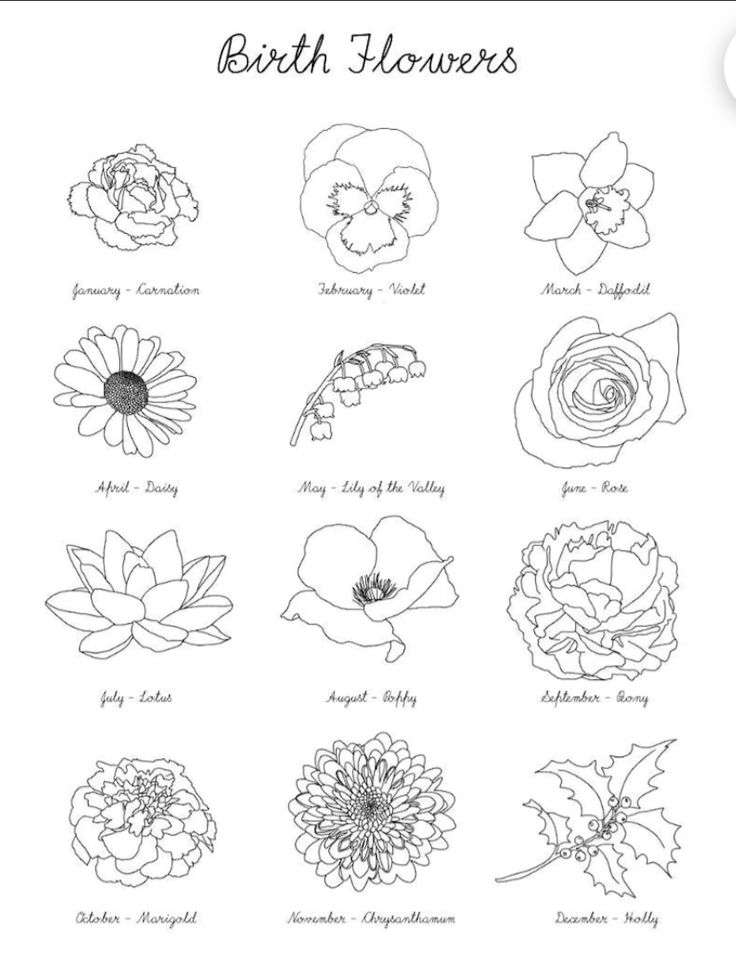 the birth flowers are shown in black and white, as well as an outline drawing