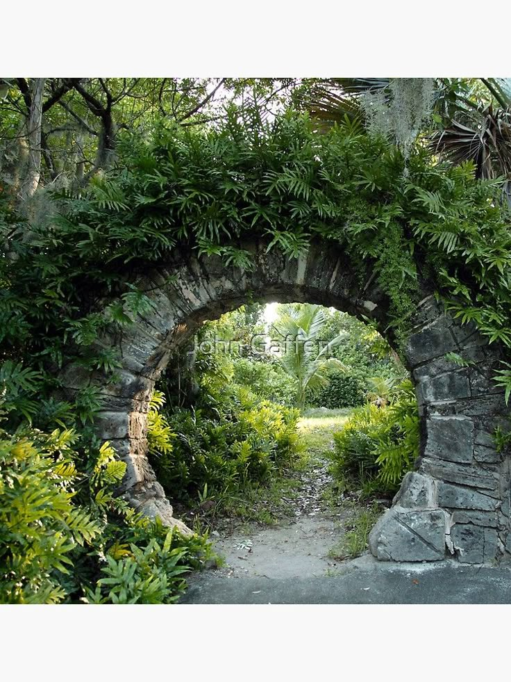 an arch in the middle of a forest with trees and plants on it's sides