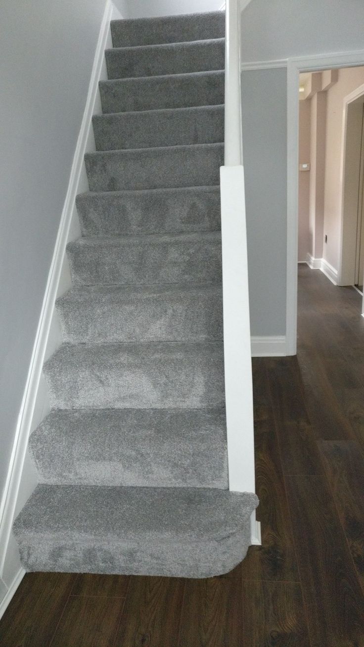 a carpeted staircase leading up to the second floor