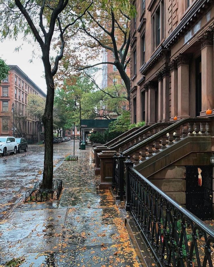 an empty city street in the rain with cars parked on the side walk and trees lining the sidewalk