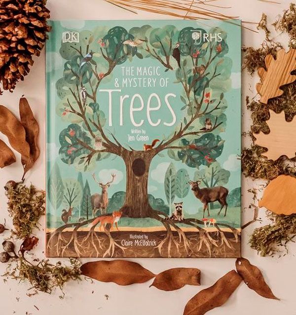 the magic and mystery of trees book surrounded by leaves, branches, and other items