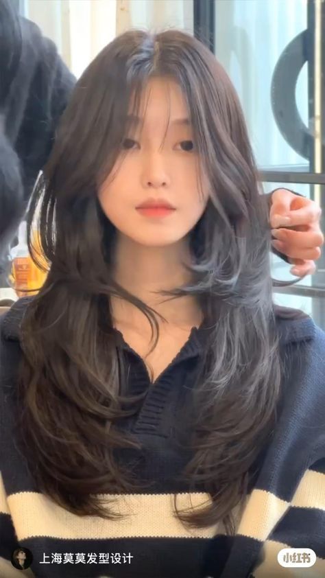 Korean Womens Haircuts, Korean Woman Haircut, Korean Haircut Women Long, Asian Cute Hairstyles, Long Haircut Korean Style, Asian Curtain Bangs Long Hair, Korean Curtain Bangs Long Hair, Three Layer Haircut, Long Hair Korean Style Haircuts