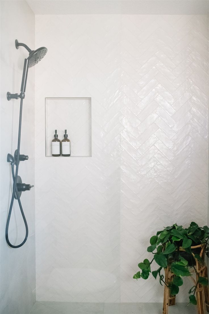 a bathroom with a shower head, toilet and plant in the corner next to it