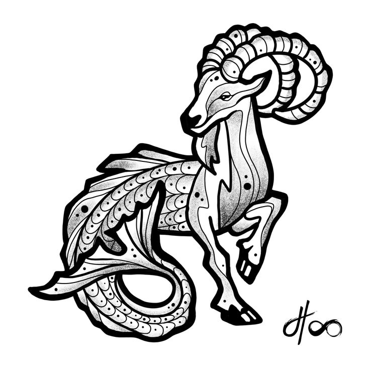 an ink drawing of a ram with long horns and tail curled around it's neck