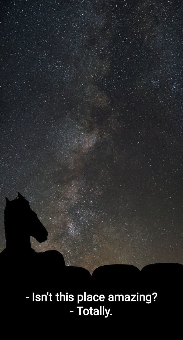 a horse sitting on top of a field under a night sky