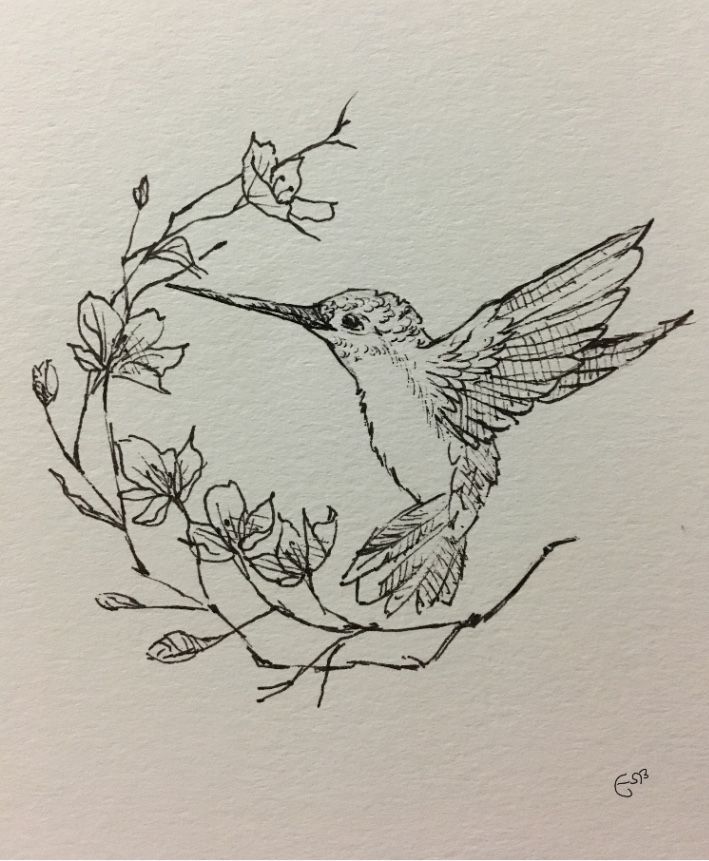 a drawing of a hummingbird sitting on a branch