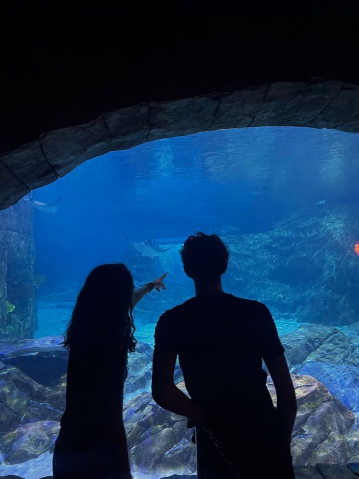 two people standing in front of an aquarium looking at fish