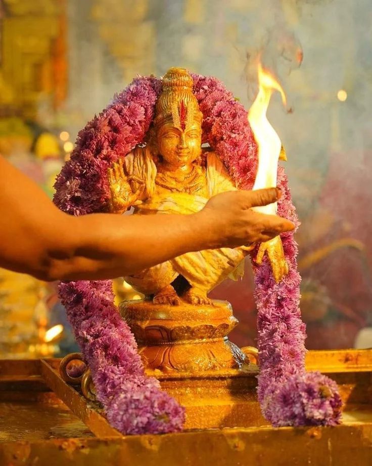 a person holding a lit candle in front of a statue with purple flowers around it