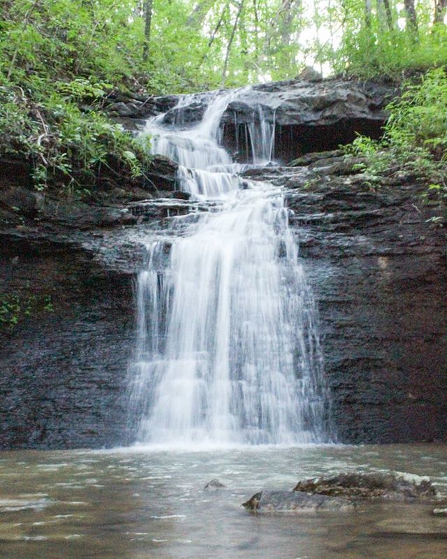 a waterfall in the middle of a forest