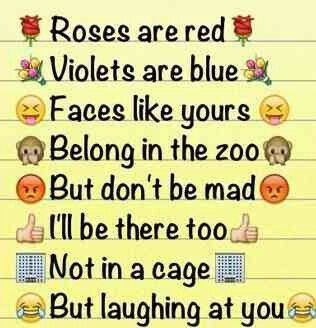 a note with the words roses are red violets are blue faces like yours belong in the zoo but don't be mad