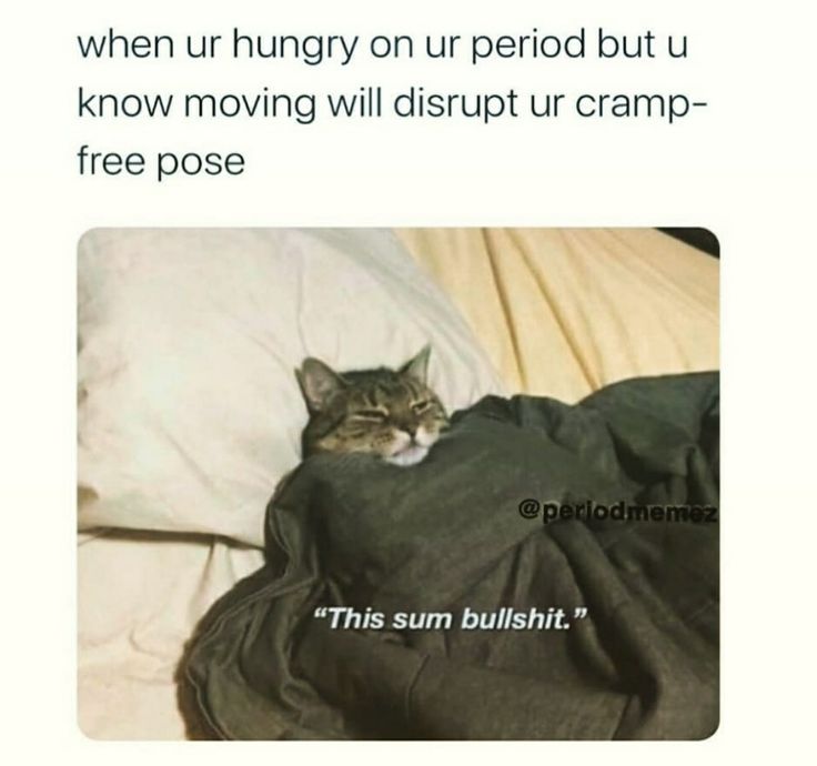 a cat laying on top of a bed under a blanket next to pillows with caption that reads, when ur hungry on our period but i know moving will disrupt