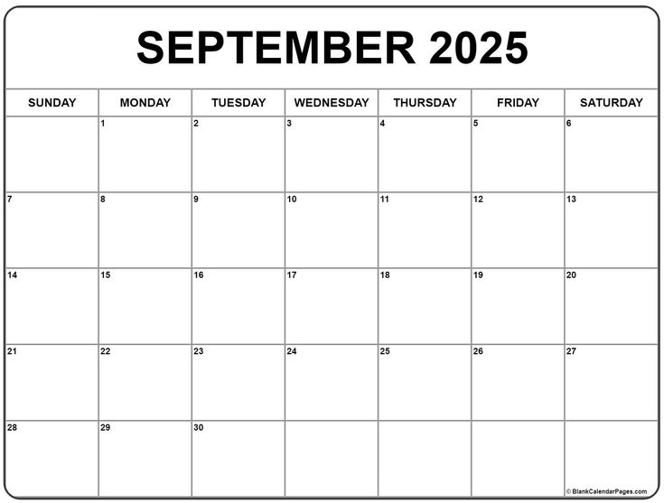 a calendar for the month of november with black and white lines, on a white background