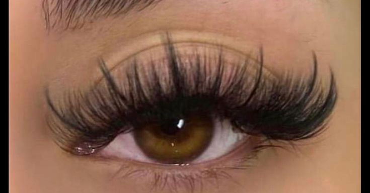 Natural Fake Eyelashes, Lash Extentions, Best Lash Extensions, Lashes Fake Eyelashes, Wispy Eyelashes, Eyelashes Extensions, Cat Eye Lash, Lash Extensions Styles, Perfect Eyelashes