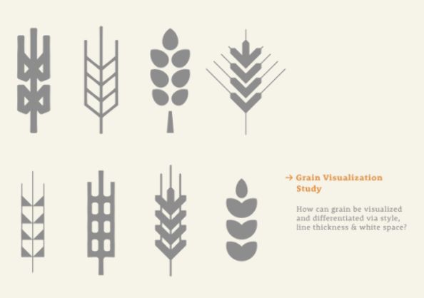 an info sheet with different types of trees and plants on it's side, including the words grain visualization study