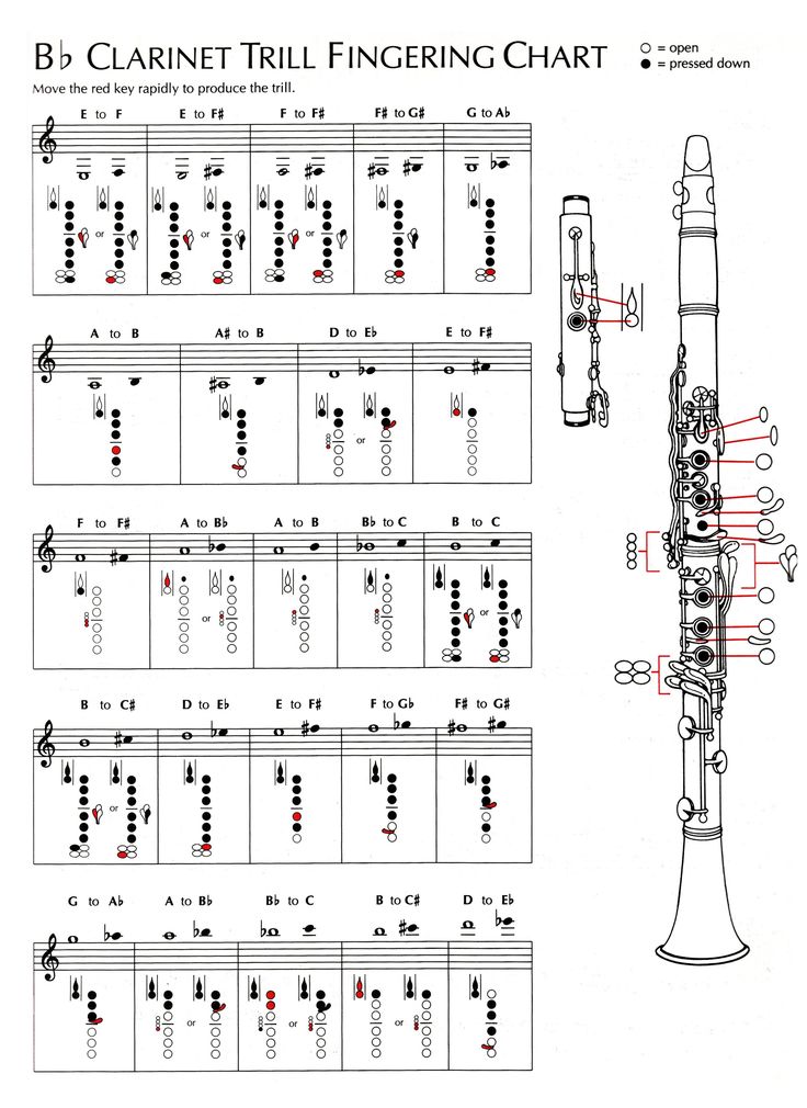 an instrument diagram with notes and diagrams on it