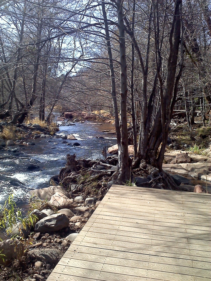 a wooden walkway next to a river surrounded by trees