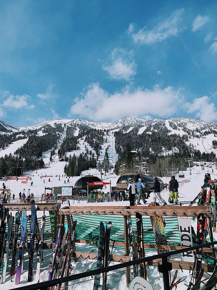 many skis and snowboards are lined up at the bottom of a snowy mountain