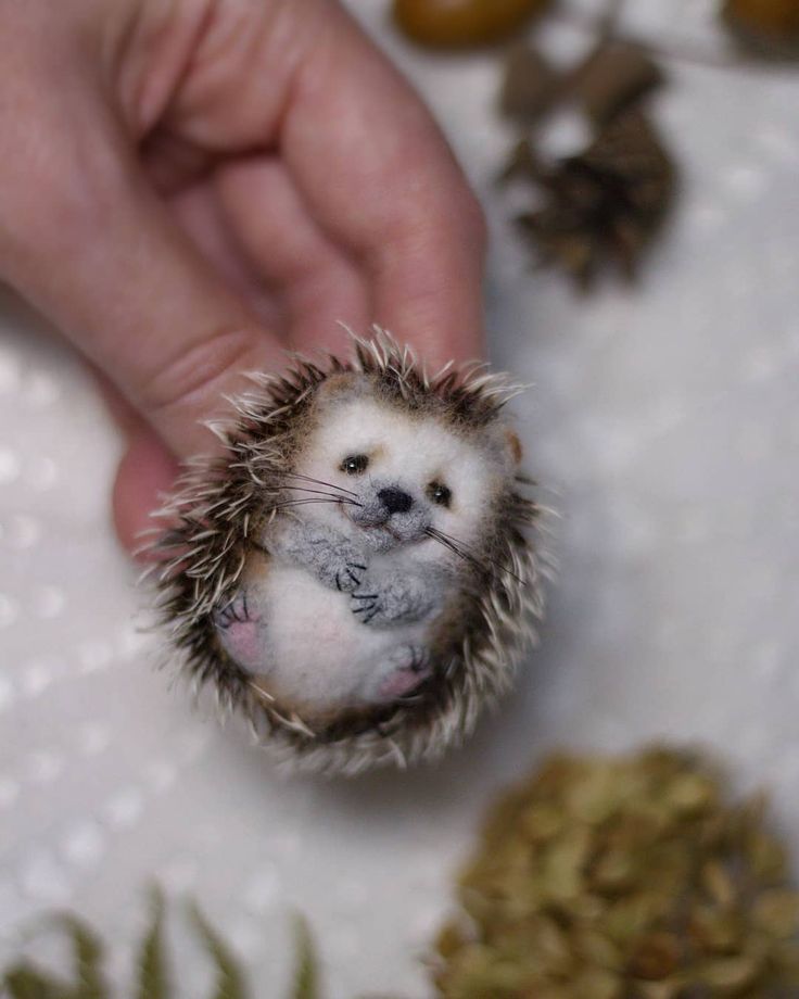 a small hedgehog sitting on top of a table next to a person's hand