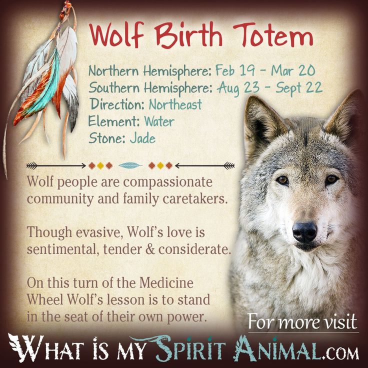 wolf spirit animal information card with native american symbols