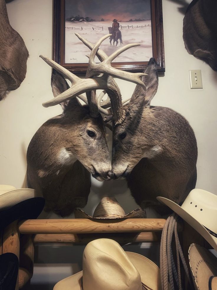 two deer heads mounted to the side of a wall with cowboy hats on it's head