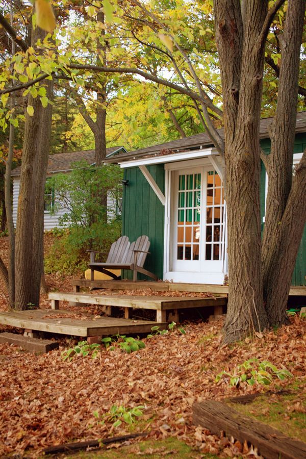 a small green cabin in the woods surrounded by trees and fallen leaves on the ground