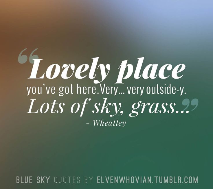 blue sky quotes by evelyn tumbler on blurry background with quote about love