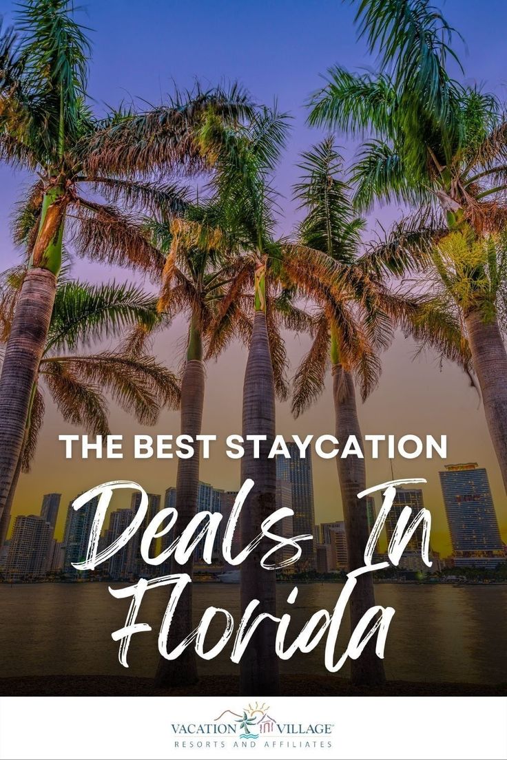 palm trees with the words, the best staycation details in florida on top of it