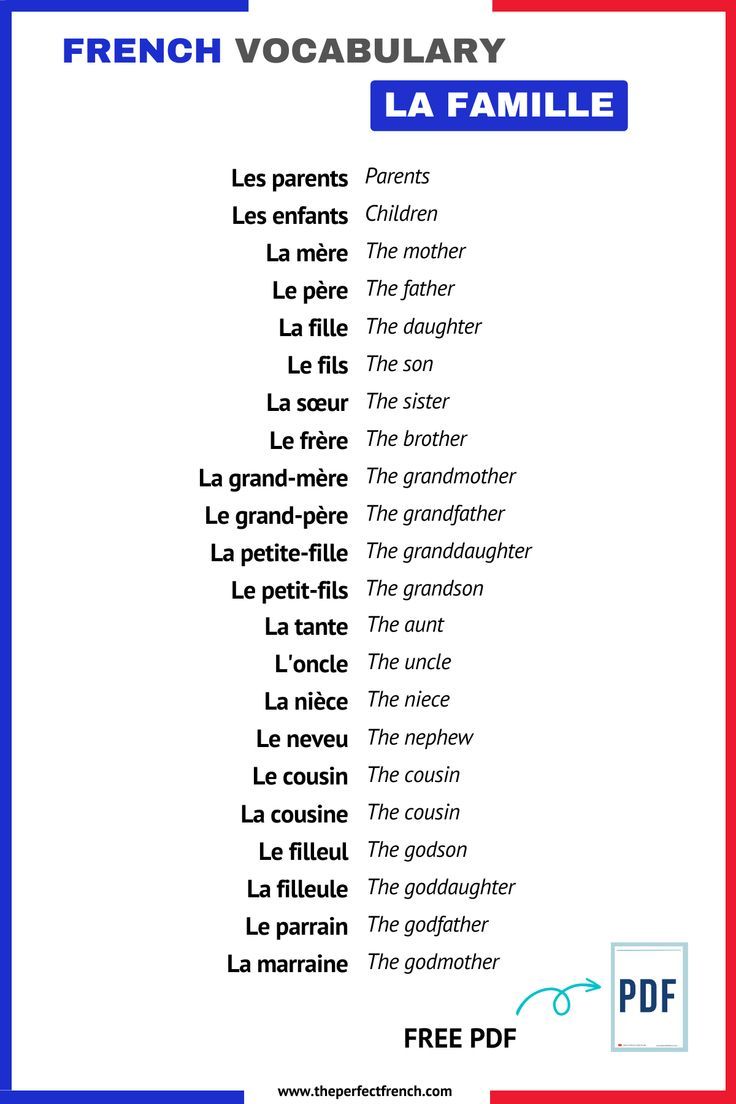 the french vocabulaary la famille is shown in red, white and blue