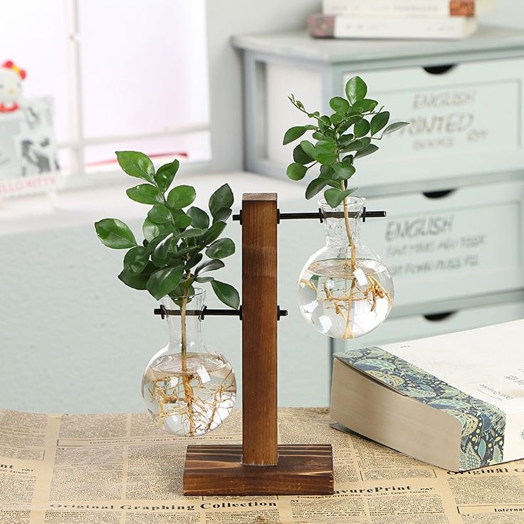 two glass vases with plants in them sitting on a table next to a book