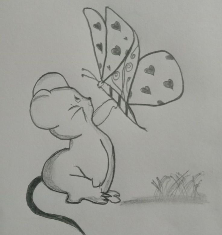 a drawing of a mouse with a butterfly on its back