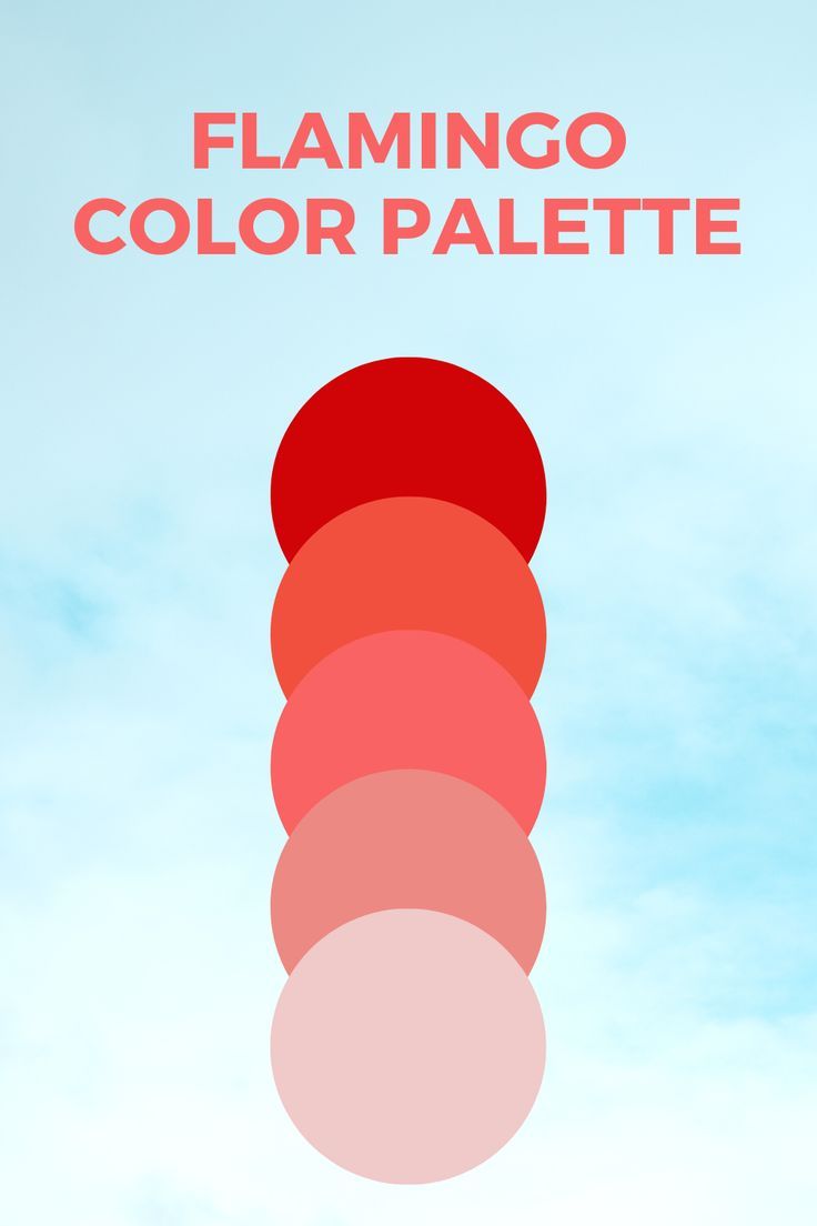 This flamingo-inspired color palette has a flirty girly vibe. This palette can be utilized in living lounge interiors as well as apparel. Flamingo Color Palette, Light Blue Kitchens, Living Lounge, Flamingo Color, Lounge Interiors, Flamingo Theme, Flamingo Party, Taste The Rainbow, Color Palate