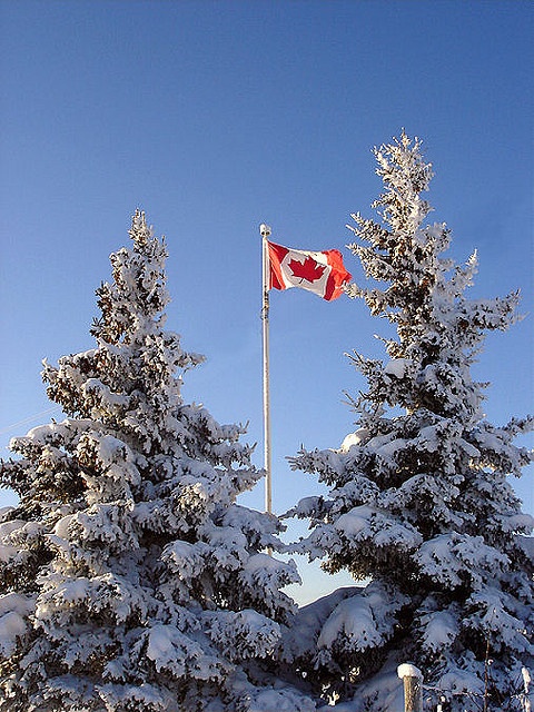 the canadian flag is flying high in the sky above some snow - covered evergreen trees