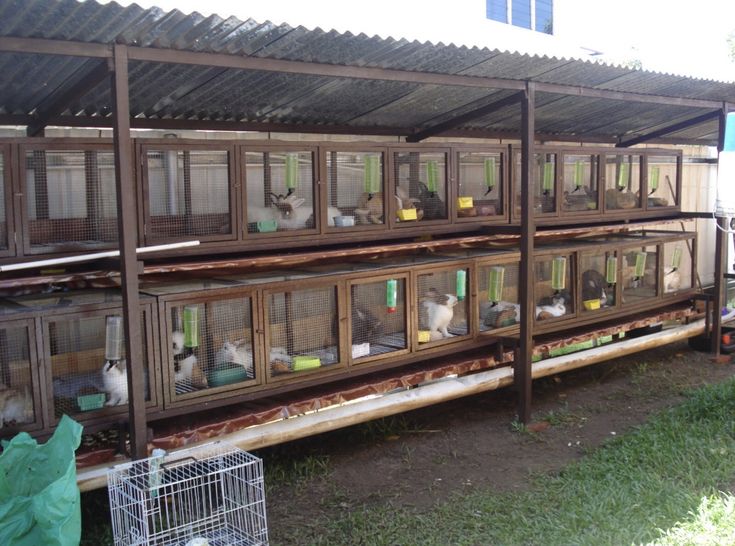 a group of cages filled with animals sitting on top of a grass covered field next to a building