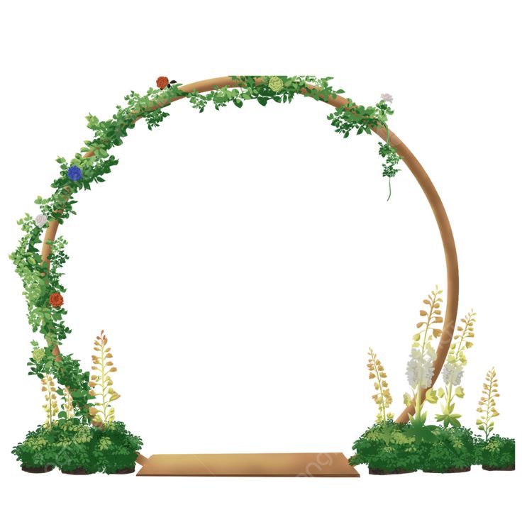 an arch made out of plants and flowers