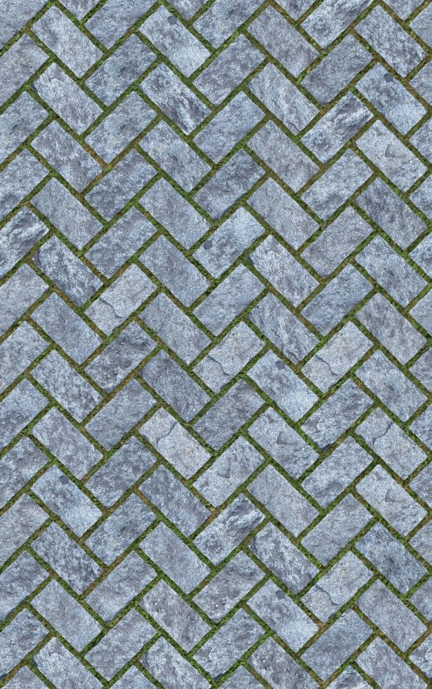 an image of a tile pattern that looks like it is made out of cement and grass