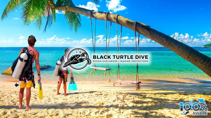 Black Turtle Dive