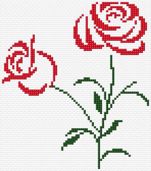 two red roses with green stems are shown in this cross stitch pattern, which has been designed