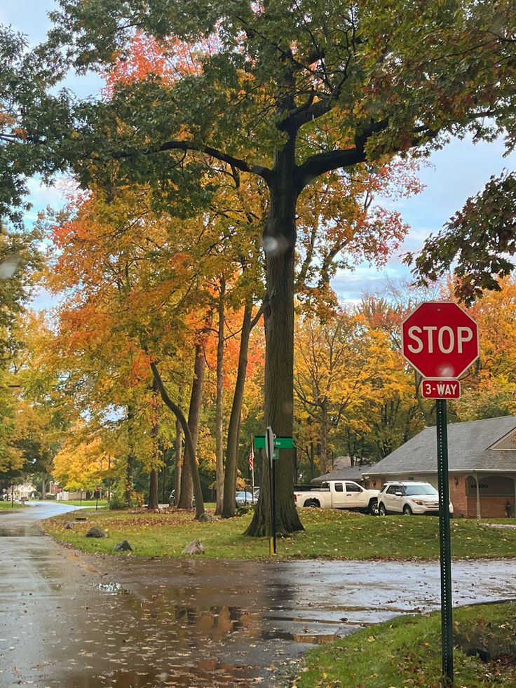 a red stop sign sitting on the side of a road next to a tree filled street