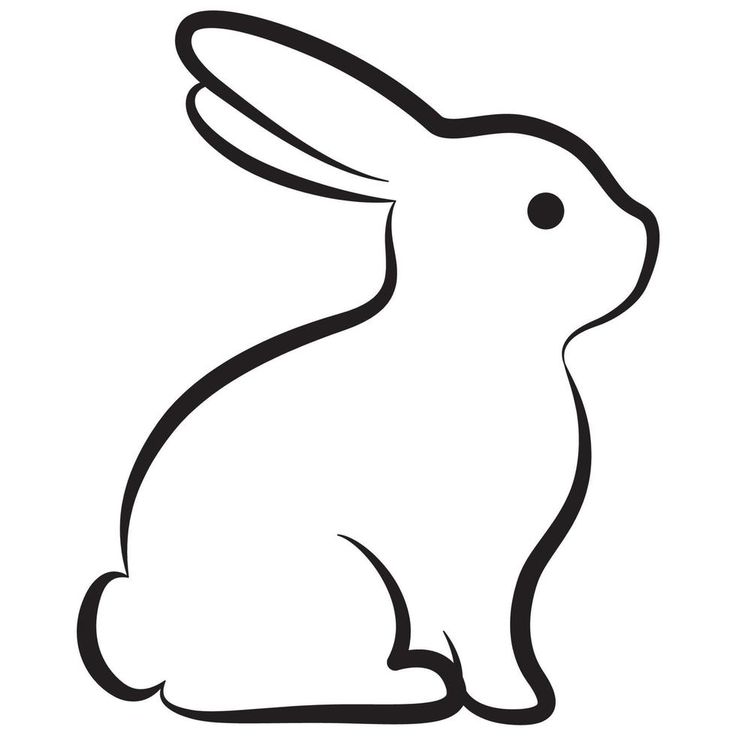 a black and white rabbit sitting down