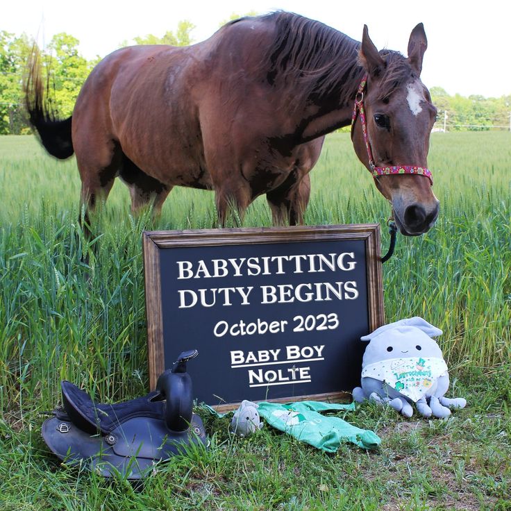 Horse Baby Announcement, Baby Announcement With Horse, Pregnancy Announcement With Horse, Horse Pregnancy Announcement, Horse Gender Reveal Ideas, Western Baby Announcement Ideas, Pregnancy Announcement Western, Western Baby Pictures, Western Baby Announcement