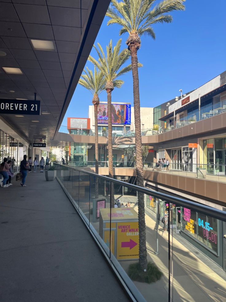 palm trees are in the foreground as people walk by on a sidewalk near an airport