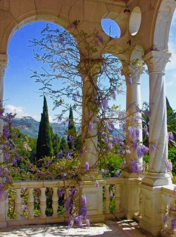 an outdoor gazebo with purple flowers growing on the pillars and around it, surrounded by greenery