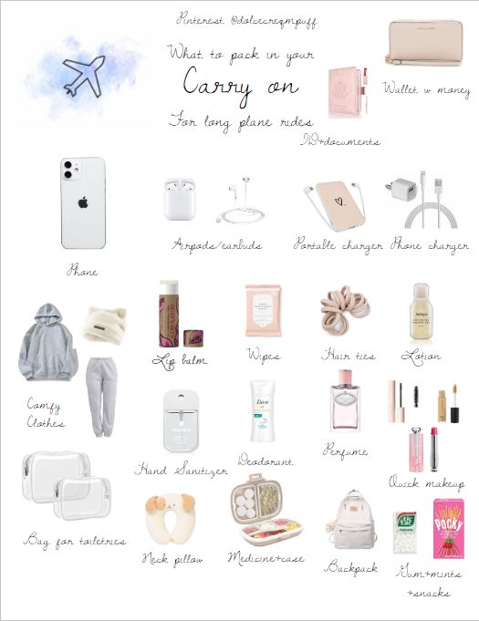 the contents of a carry on bag are shown in this graphic above it's description