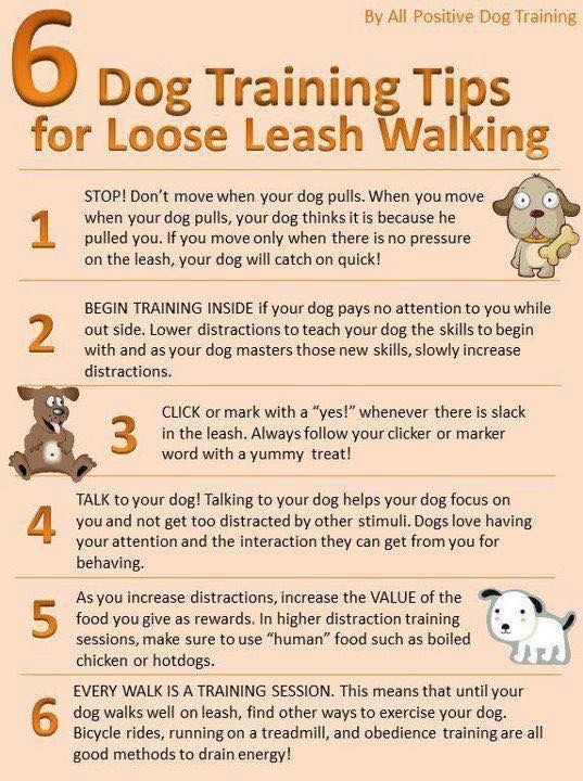 a poster with instructions on how to train your dog for leash training in the fall or winter