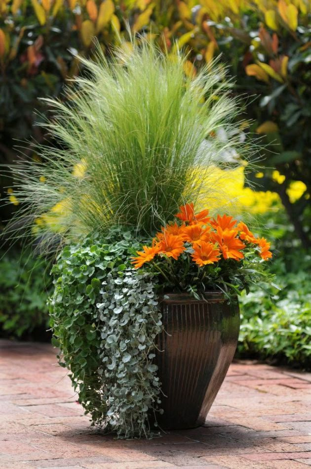 a large potted plant sitting on top of a brick walkway