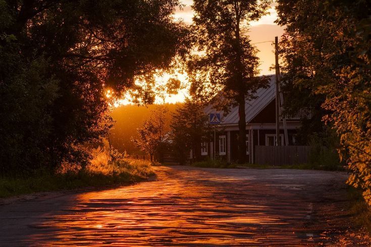 the sun is setting behind some trees and houses on the side of a road with water running through it