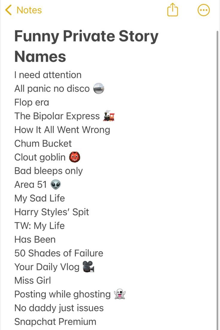 an iphone screen with the text'funny private story names '