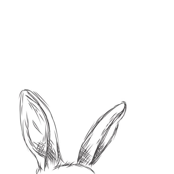 a black and white drawing of a rabbit's head with its ears spread out